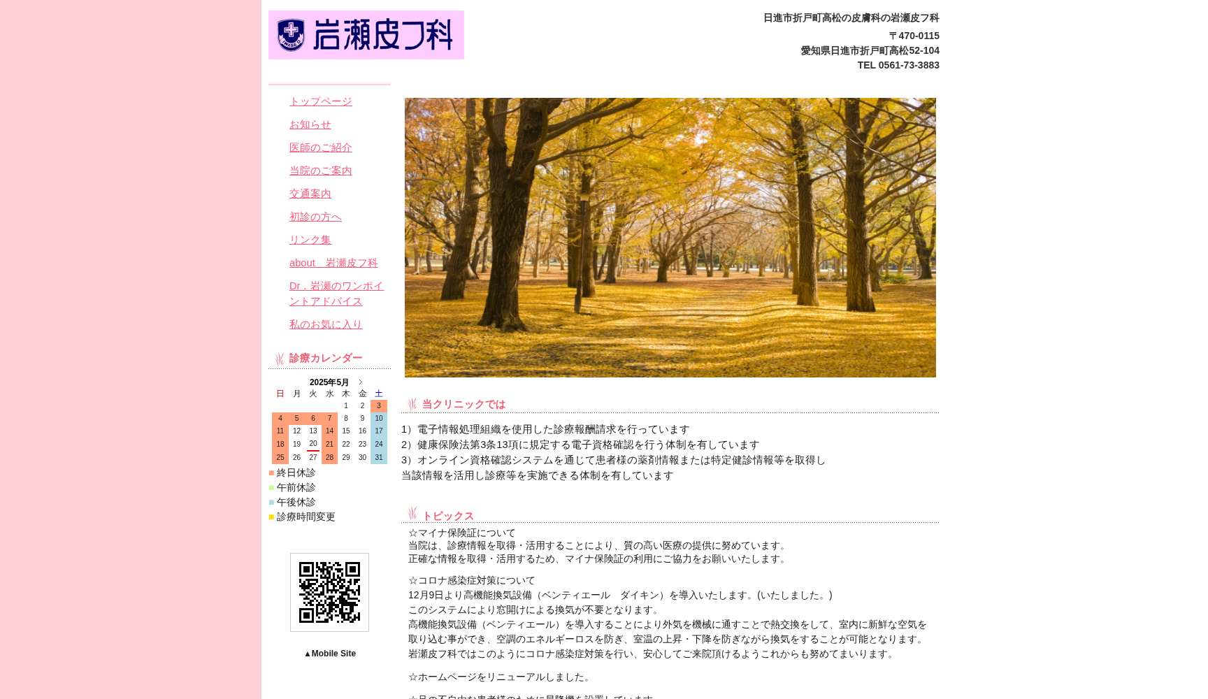 岩瀬皮フ科