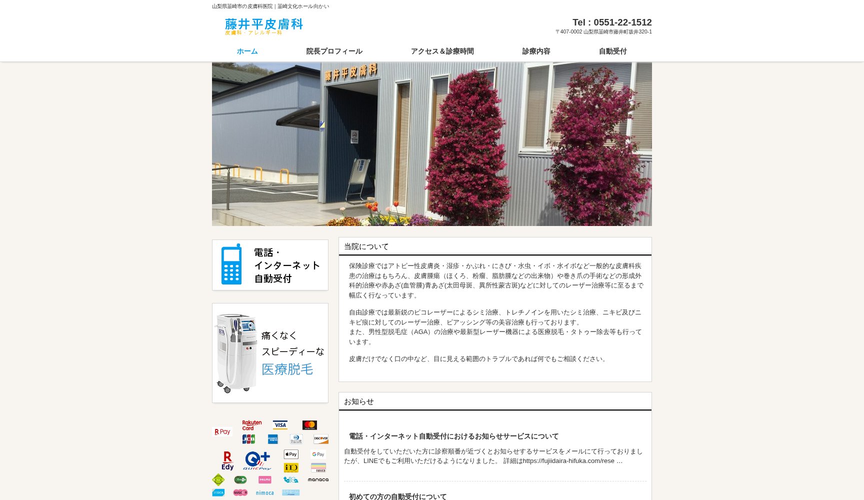 藤井平皮膚科