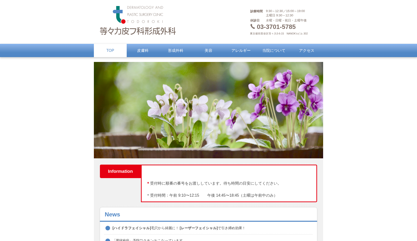 医療法人社団理正会 等々力皮フ科形成外科