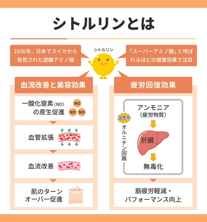 シトルリンとは