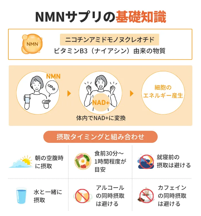 NMNサプリの基礎知識
